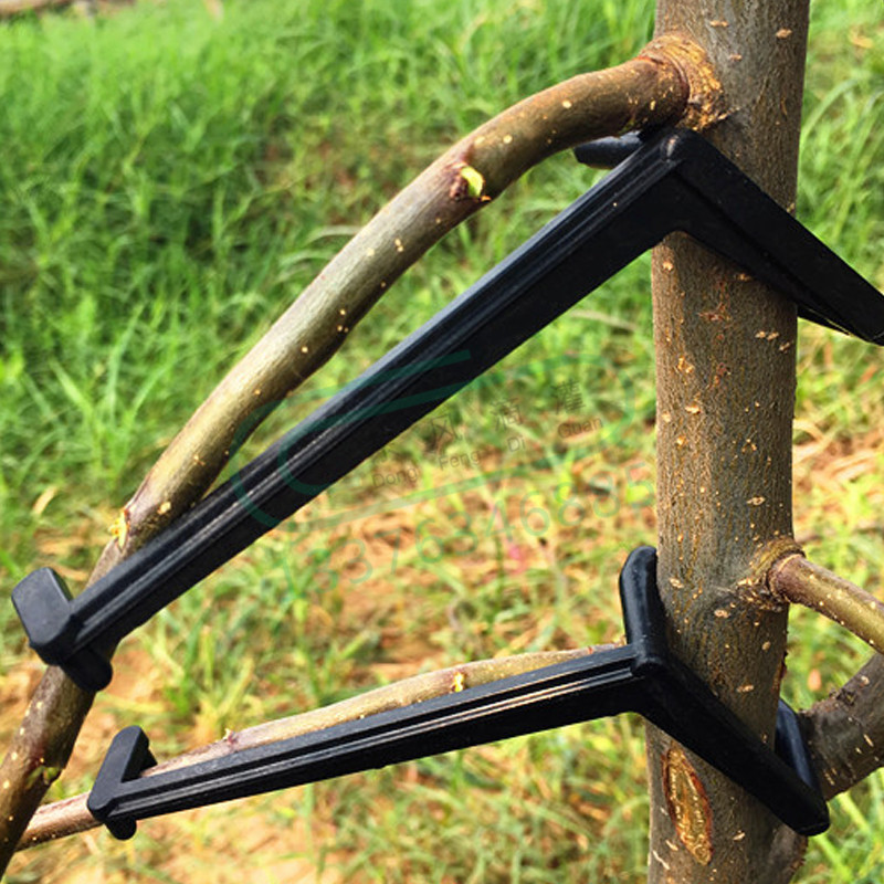 Gardening Tools For Vines - 10-30 шт., зажимы для фруктовых деревьев,