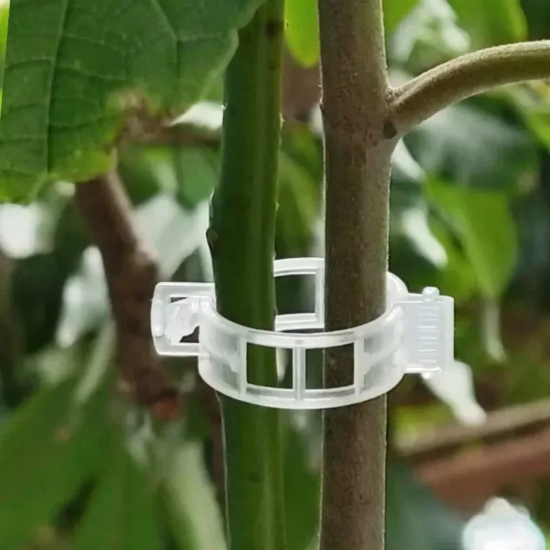 50-300 шт. многоразовых пласти – обзор и цена Gardening Tools For Vines