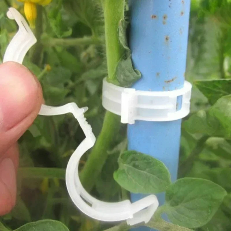 50-300 шт. многоразовых пласти – обзор и цена Gardening Tools For Vines