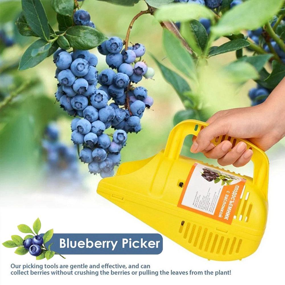 Инструмент для сбора черники с – обзор и цена Gardening Tools You Must Have