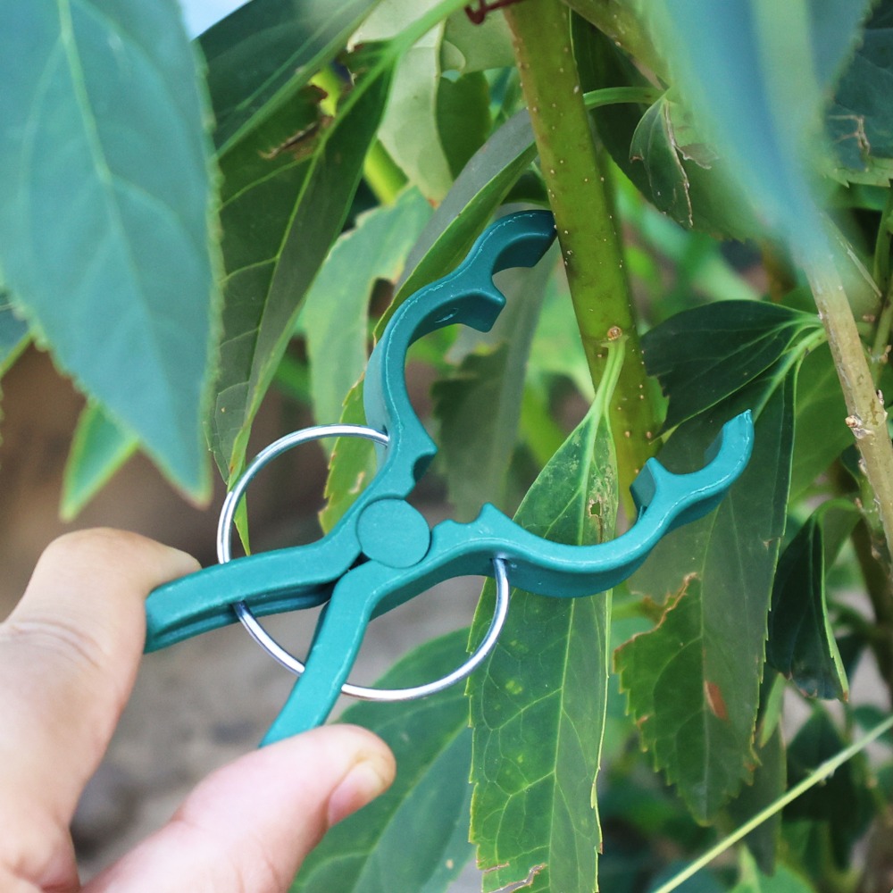 50/10 шт. Зажимы для подвязки  – обзор и цена Gardening Tools For Vines