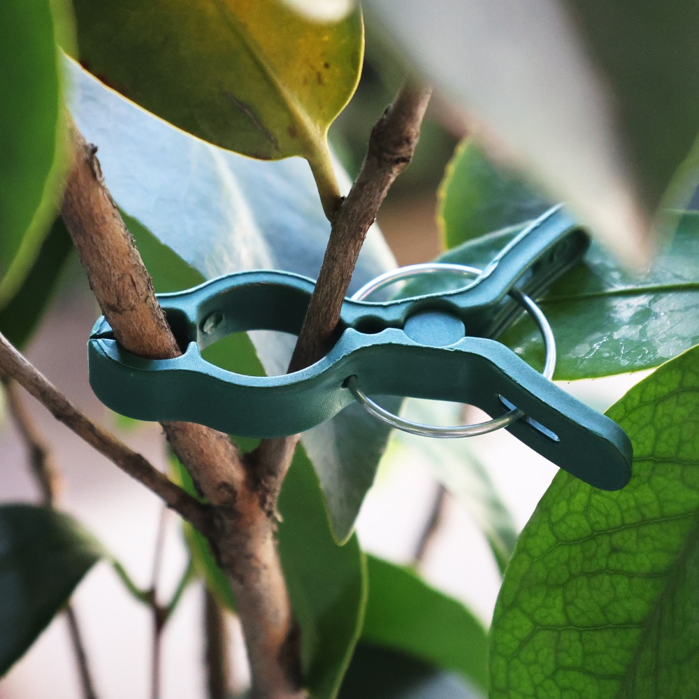 50/10 шт. Зажимы для подвязки  – обзор и цена Gardening Tools For Vines