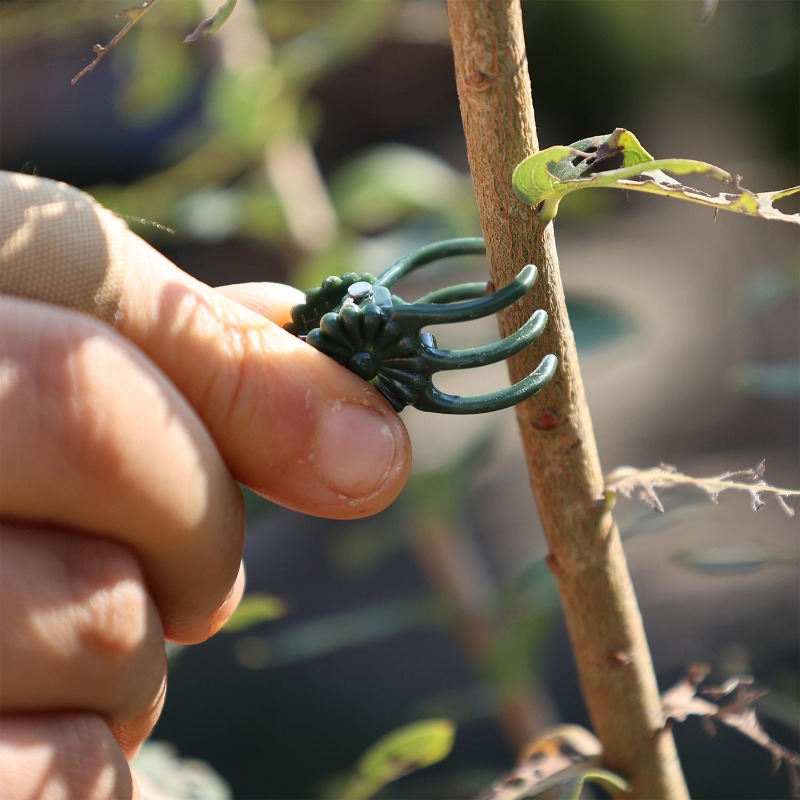 Оптовые мини-зажимы для поддер – обзор и цена Gardening Tools For Vines