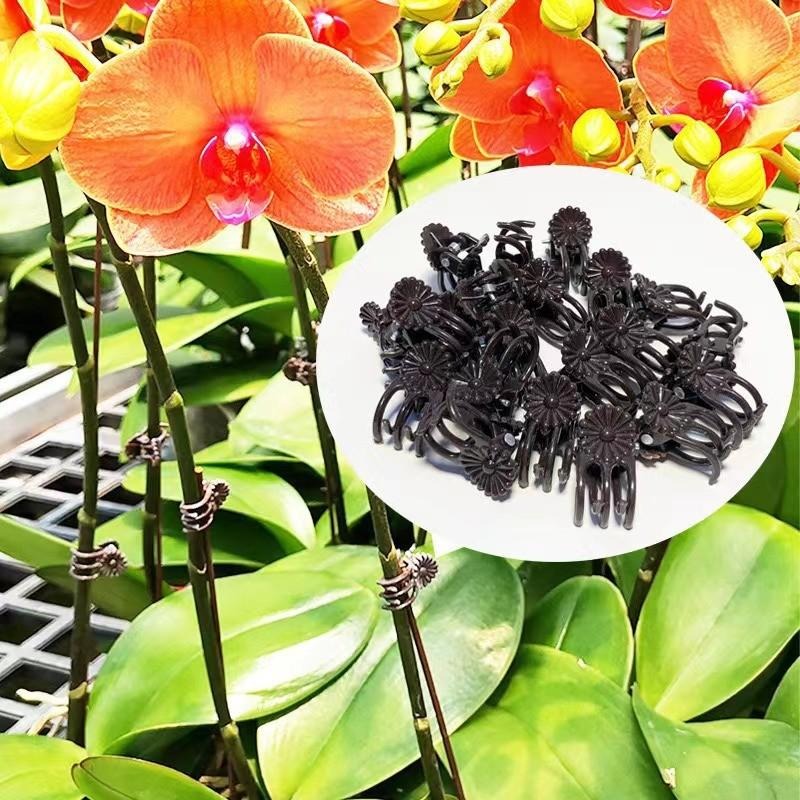 Оптовые мини-зажимы для поддер – обзор и цена Gardening Tools For Vines