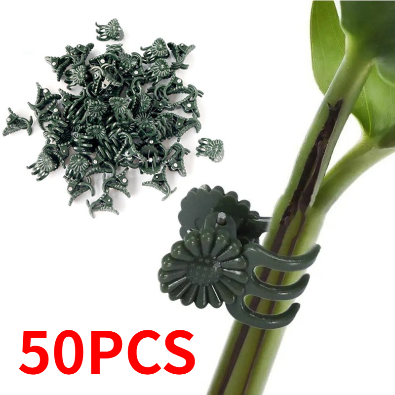 50 шт. 5-зубчатых темно-зелены – обзор и цена Gardening Tools For Vines
