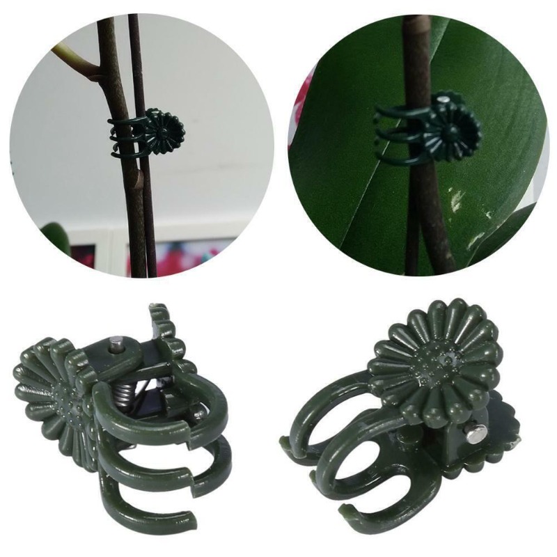 50 шт. 5-зубчатых темно-зелены – обзор и цена Gardening Tools For Vines
