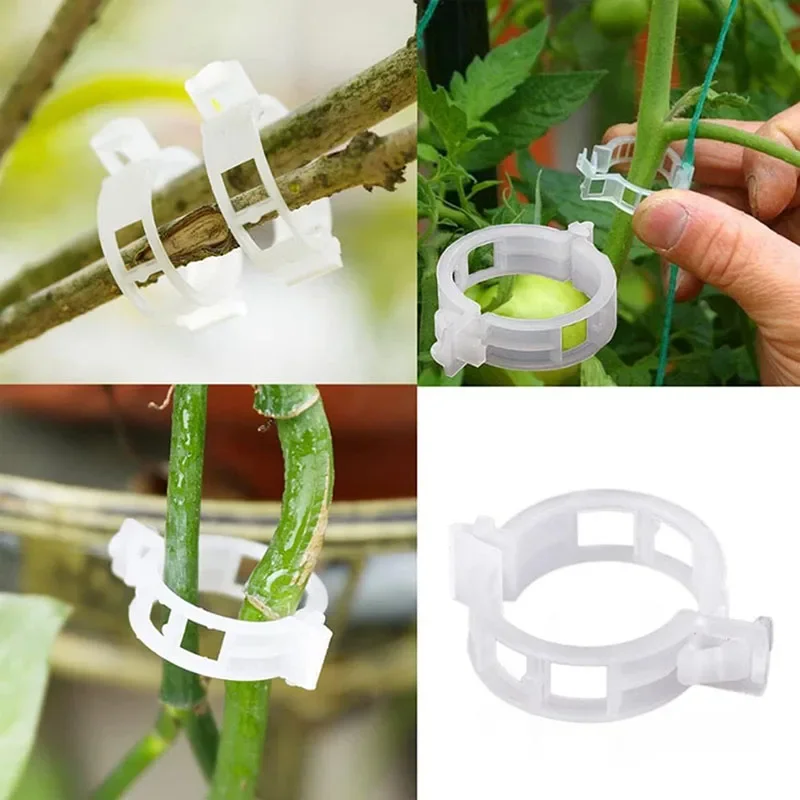 100 шт. зажимы для крепления р – обзор и цена Gardening Tools For Vines