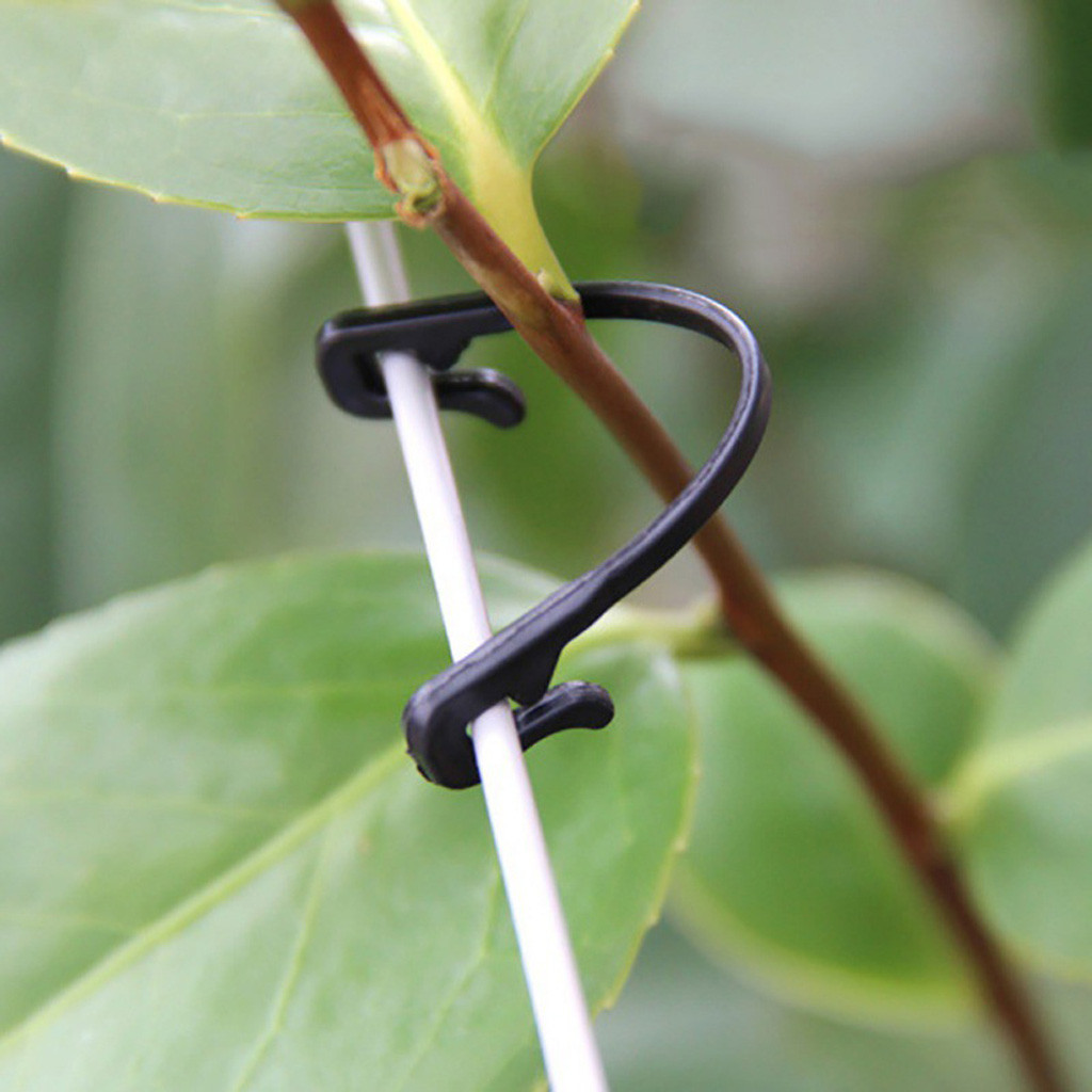 50-500 шт. Зажимы-фиксаторы дл – обзор и цена Gardening Tools For Vines