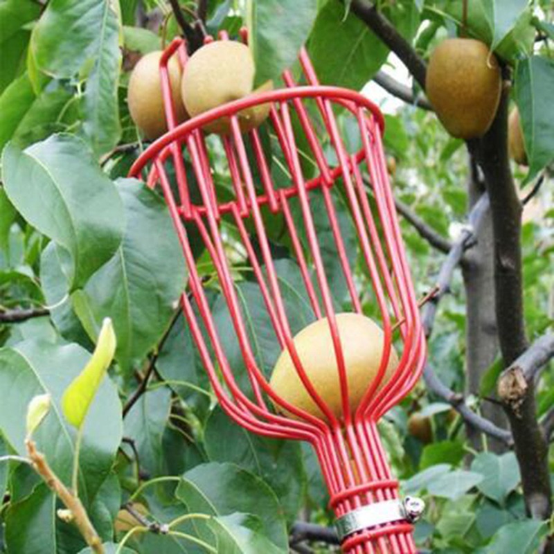 Портативная насадка-сборщик дл – обзор и цена Gardening Tools Basket