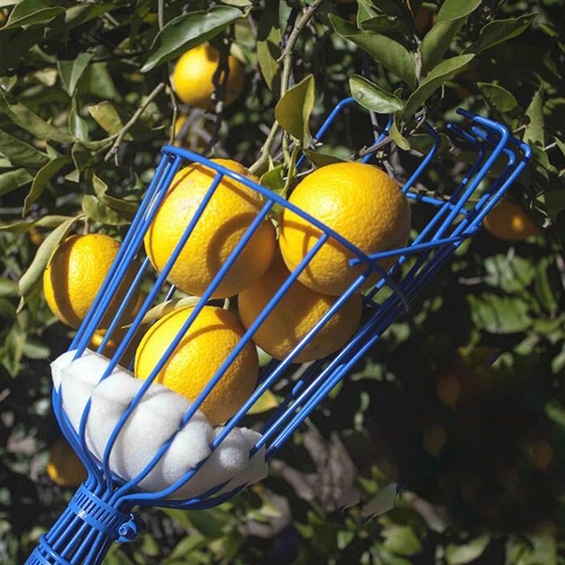 Портативная насадка-сборщик дл – обзор и цена Gardening Tools Basket