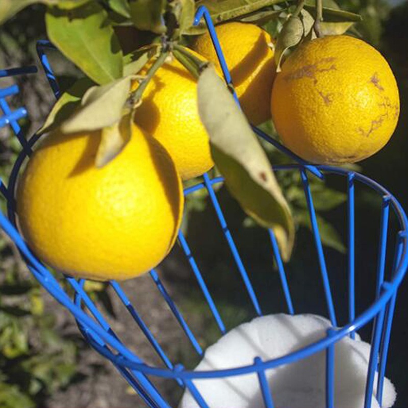 Портативная насадка-сборщик дл – обзор и цена Gardening Tools Basket