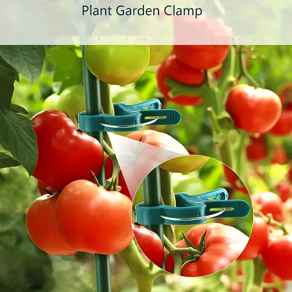10/30/50 шт. регулируемых зажи – обзор и цена Gardening Tools For Vines
