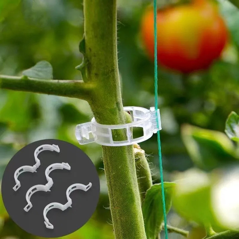 Оптовые садовые зажимы для рас – обзор и цена Gardening Tools For Vines