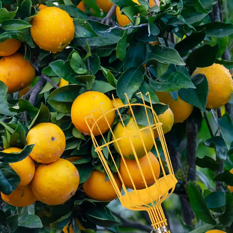 Портативный металлический инст – обзор и цена Gardening Tools Basket