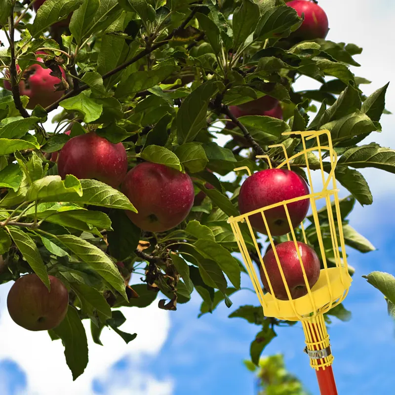 Портативный металлический инст – обзор и цена Gardening Tools Basket