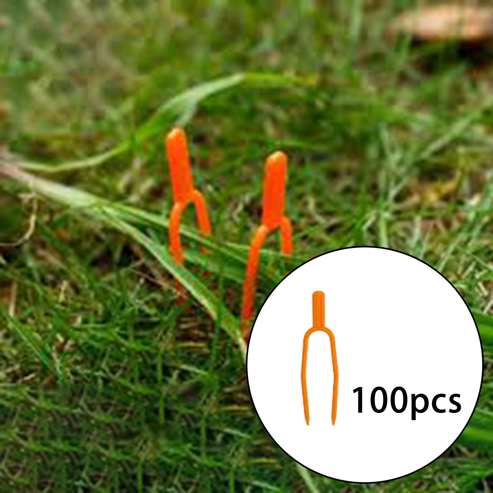 Зажимы-фиксаторы для стеблей р – обзор и цена Gardening Tools For Vines