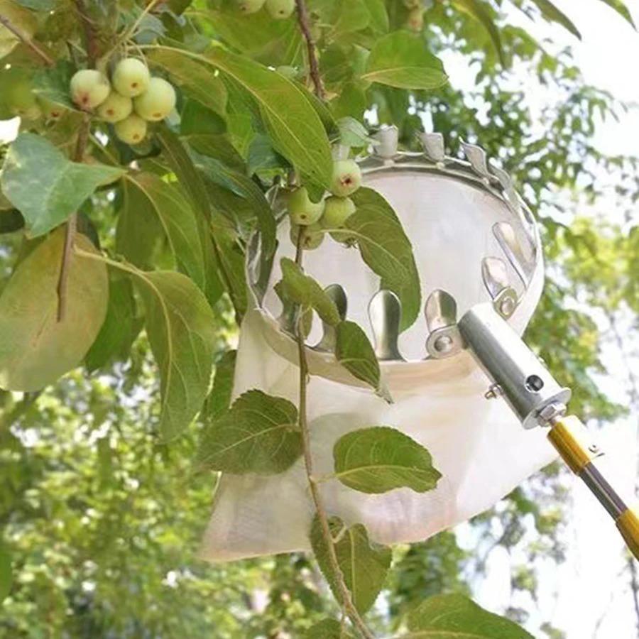 Профессиональный инструмент дл – обзор и цена Gardening Tools Basket
