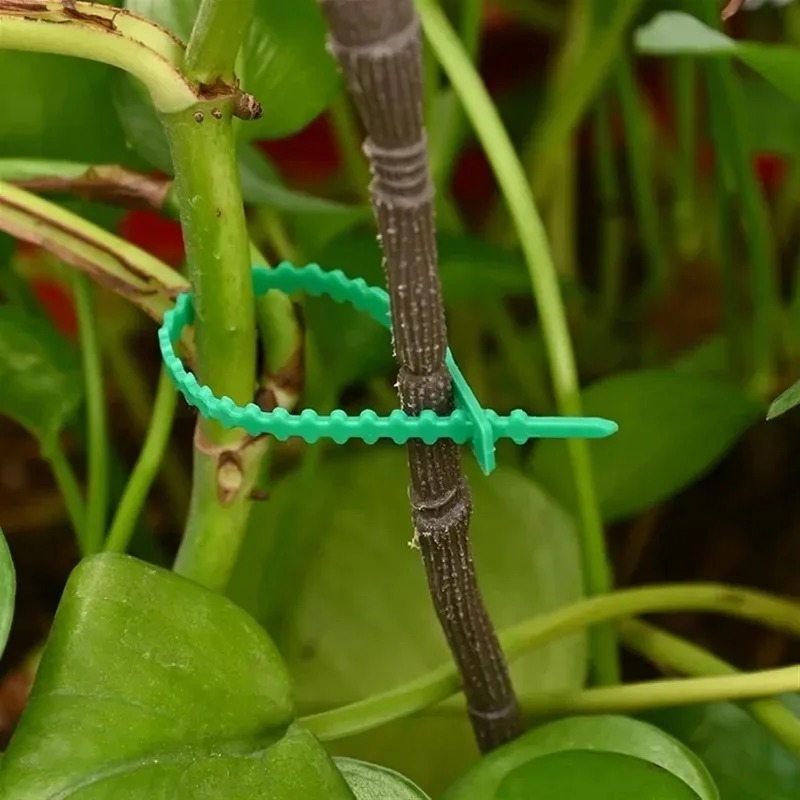 Многоразовые садовые стяжки дл – обзор и цена Gardening Tools For Vines