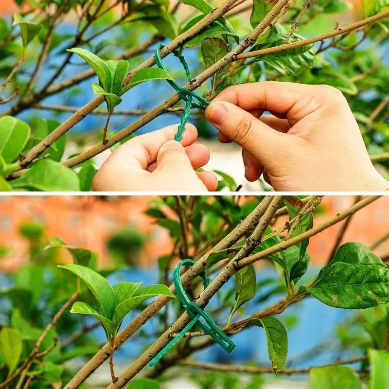 Многоразовые садовые стяжки дл – обзор и цена Gardening Tools For Vines