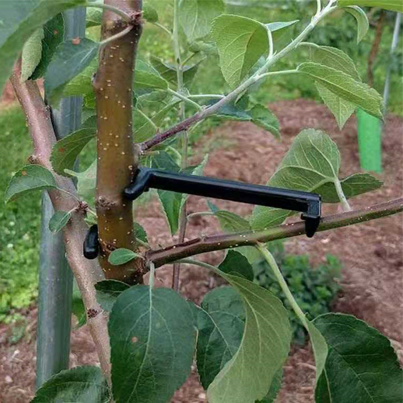 10-30 шт., зажимы для фруктовы – обзор и цена Gardening Tools For Vines