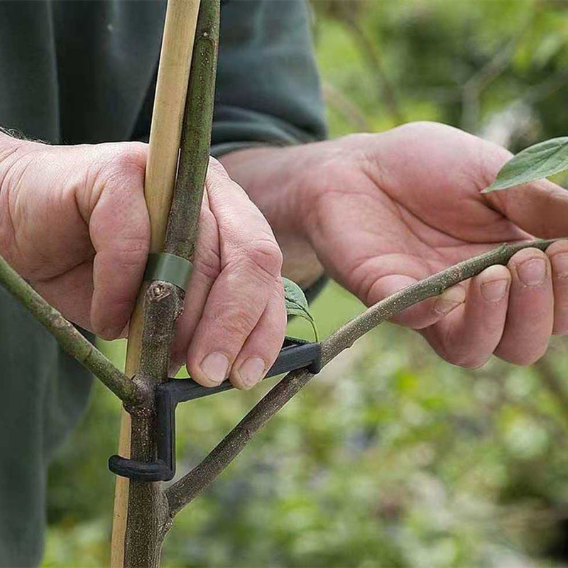 10-30 шт., зажимы для фруктовы – обзор и цена Gardening Tools For Vines