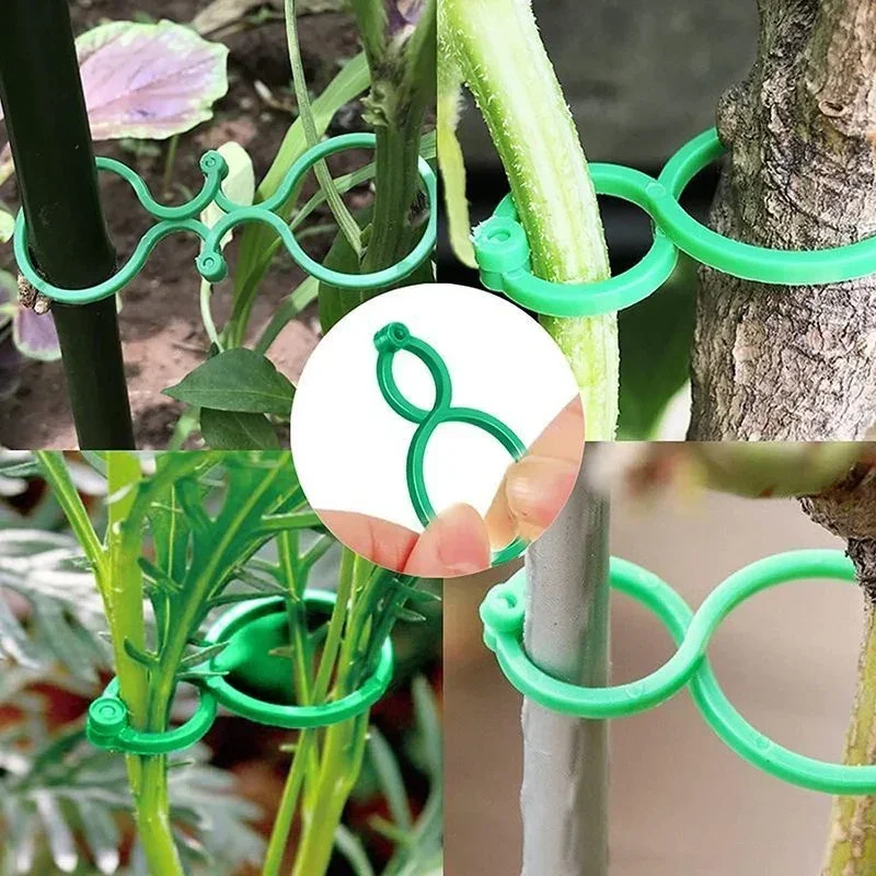 Пластиковые зажимы для подвязк – обзор и цена Gardening Tools For Vines