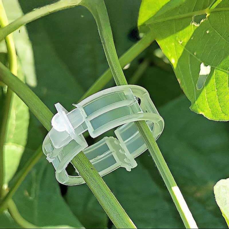 300/50 шт. многоразовые пласти – обзор и цена Gardening Tools For Vines