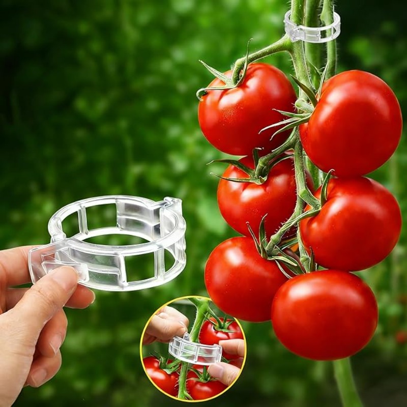300/50 шт. многоразовые пласти – обзор и цена Gardening Tools For Vines